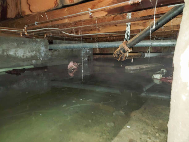 Best 24/7 water damage repair  in Fishersville, VA