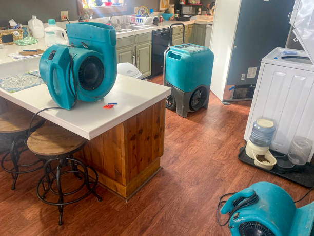 Best Sewage cleanup and water damage restoration  in Fishersville, VA