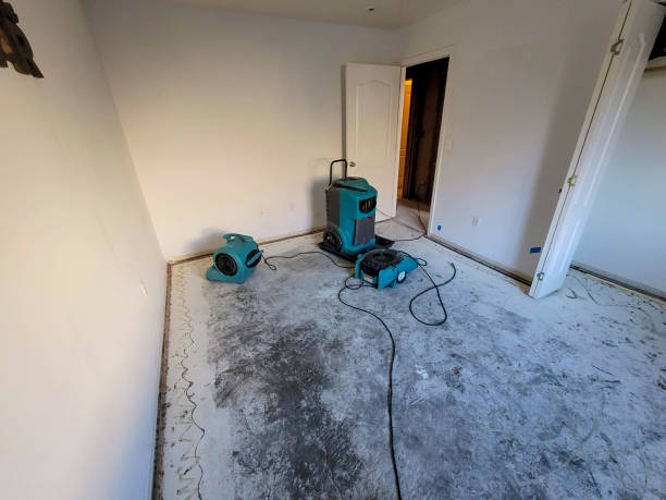 Best Residential water damage restoration  in Fishersville, VA