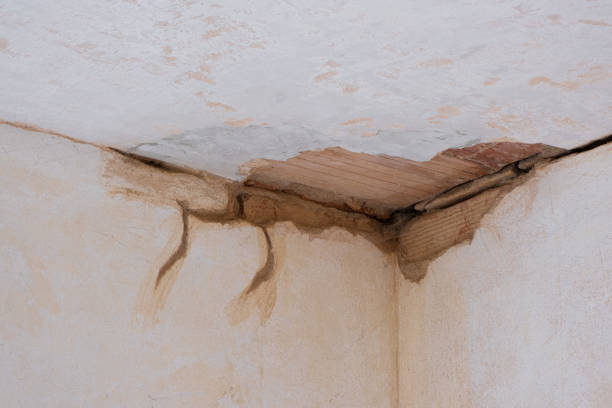 Best Mold removal after water damage  in Fishersville, VA